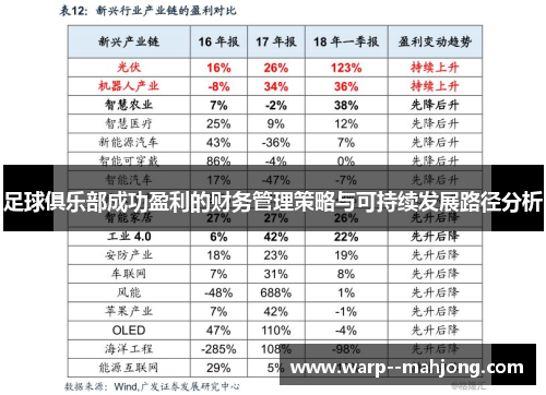 足球俱乐部成功盈利的财务管理策略与可持续发展路径分析