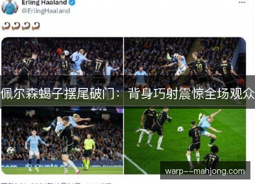 佩尔森蝎子摆尾破门：背身巧射震惊全场观众