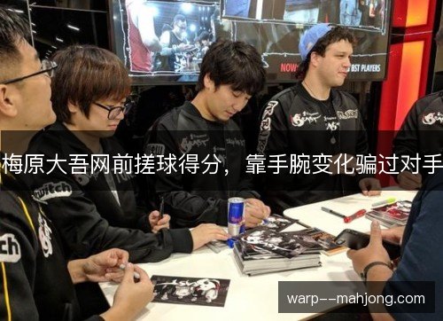 梅原大吾网前搓球得分，靠手腕变化骗过对手